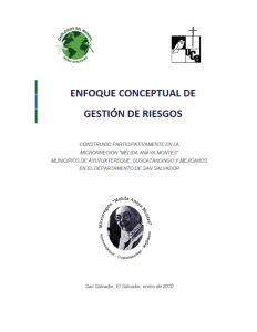 Enfoque gestion riesgos 2010