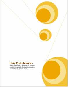 Guia metodologica 2010